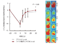 カメリアサポニンB2は末梢部位（手指）の体温を回復！