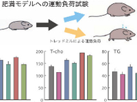各種ヘルスクレームに対応した食品の有効性を確認します。