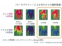 カシスアントシアニンの「冷え」改善作用