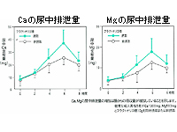 ミネラルの吸収促進