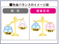 加齢や生活環境によって体内の免疫バランスが