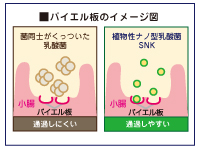 粒子径が１μ以下で、且つ塊にならない事が利