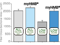 myHMB®はカロリー制限中の筋肉量減少を抑えます。