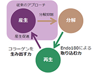 循環生み出すエイジングケア