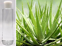 世界中で有効活用される薬草、沖縄産アロエベラ使用