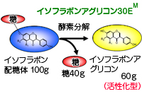 配糖体100gはイソフラボンアグリコンの60gに相当します。