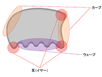 カーブ、ウェーブ、耳（イヤー）　テラタイト・パワープレートの部位