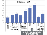 α2遺伝子の発現解析結果