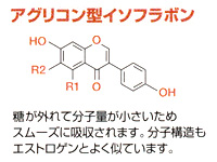 アグリコン型は、分子量が小さくスムーズに体内に吸収されます。