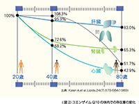 年齢と共に減少する体内のコエンザイムQ10量