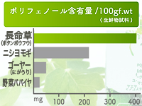 長命草はポリフェノールが豊富