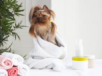 化粧品OEMで培ったノウハウを活かた商品づくり