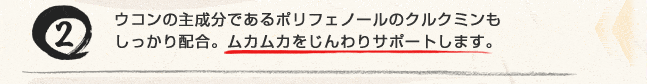 ウコンの主成分であるポリフェノールのクルクミンもしっかり配合。ムカムカをじんわりサポートします。