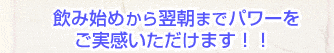 飲み始めから翌朝までパワーをご実感いただけます！