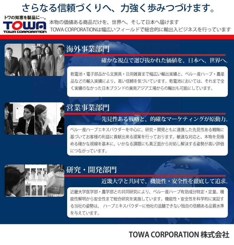 TOWA Corpration