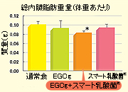 乳酸菌類なら スマート乳酸菌 丸善製薬株式会社 健康美容expo