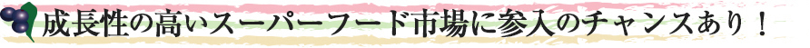 成長性の高いスーパーフード市場に参入のチャンスあり！