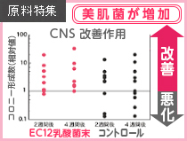 健康美容EXPO特集記事